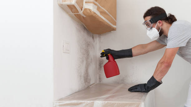Professional Mold Removal technician working in Paris, IL