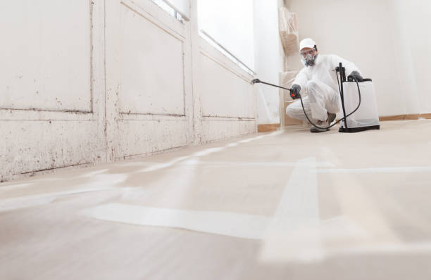 24/7 Emergency Mold Removal experts in Paris, IL
